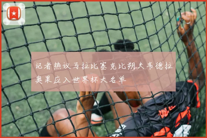 记者热议马拉比塞克比朔夫韦德拉奥果应入世界杯大名单